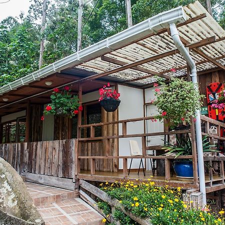 Hotel Selva Verde Саленто Экстерьер фото