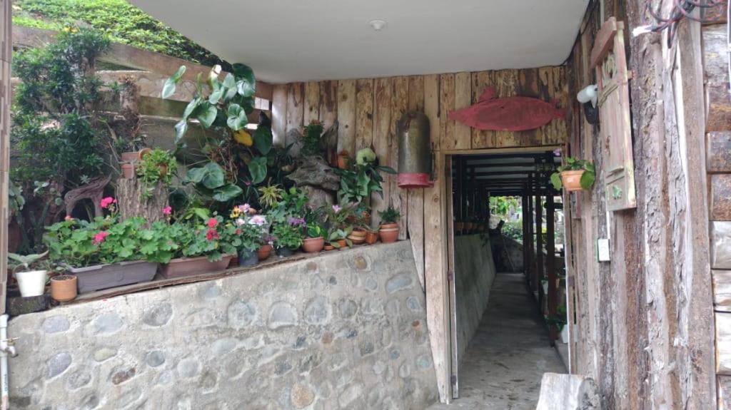 Hotel Selva Verde Саленто Экстерьер фото