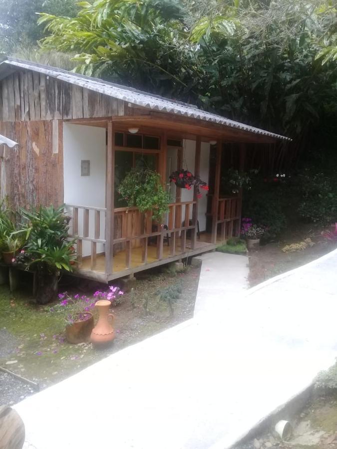 Hotel Selva Verde Саленто Экстерьер фото
