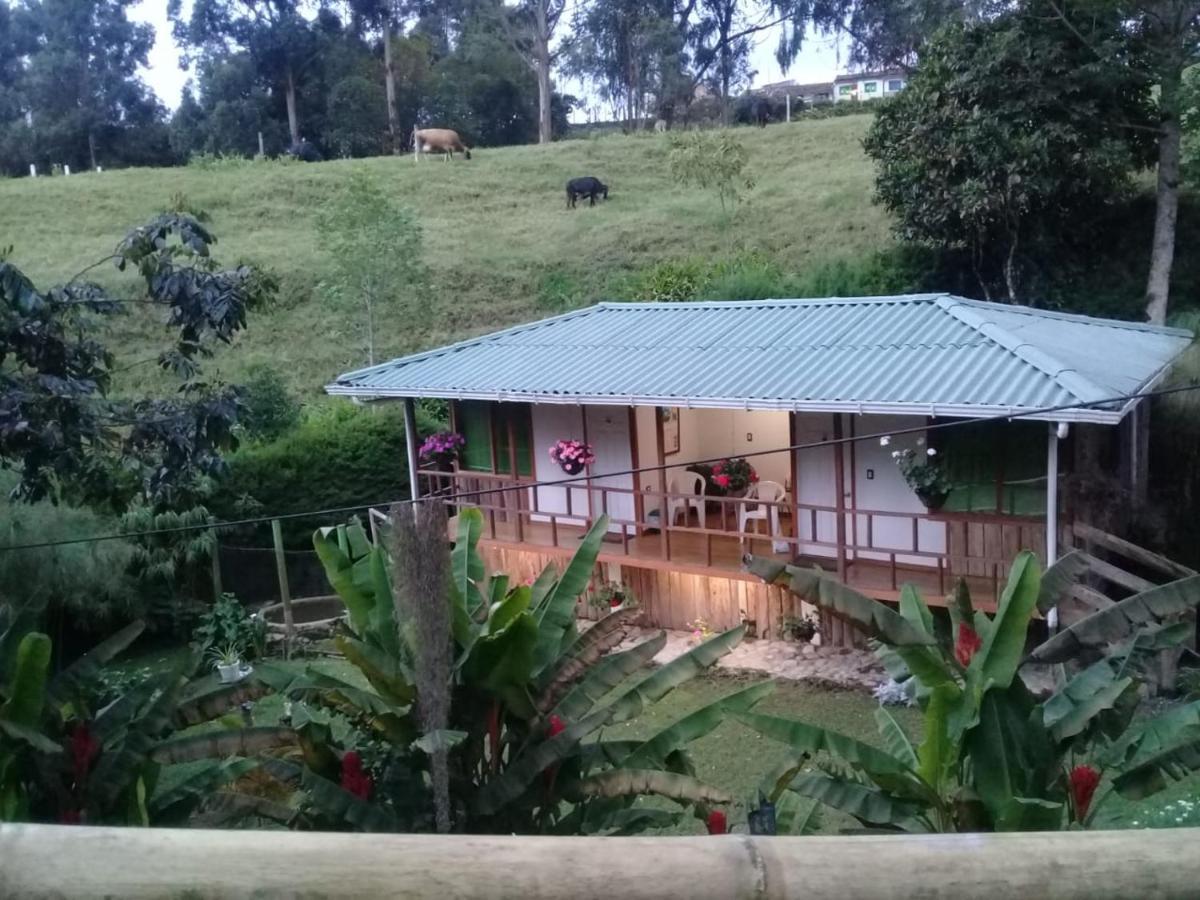 Hotel Selva Verde Саленто Экстерьер фото